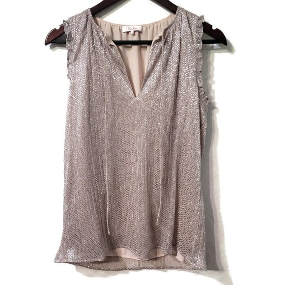 Parker Tops - Parker Silver and Nude Sequin Top Size XS
